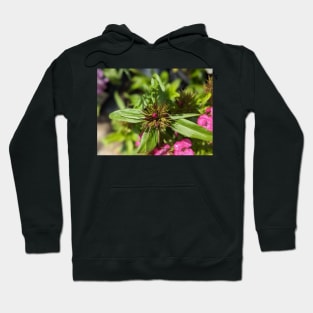 Pink Spiky Flower Bud Hoodie